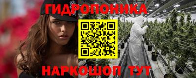 шишки Комсомольск-на-Амуре